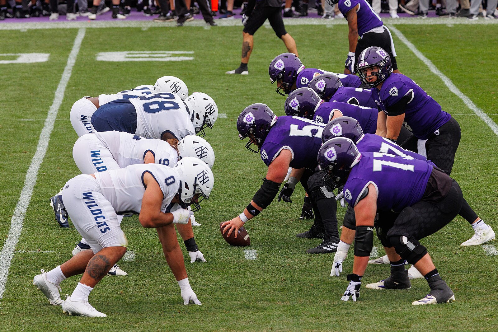 Wildcat Stadium stadium view